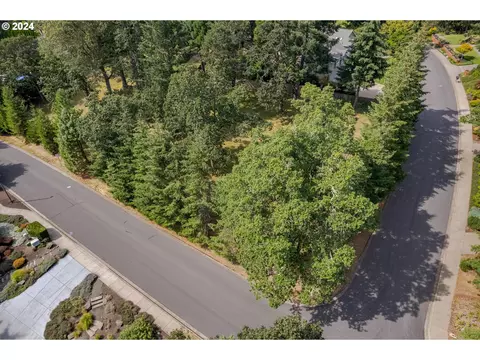 Blacktail, Eugene, OR 97405