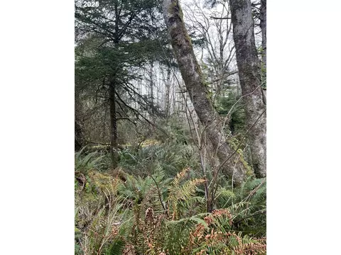 Greenleaf Rd, Arch Cape, OR 97102
