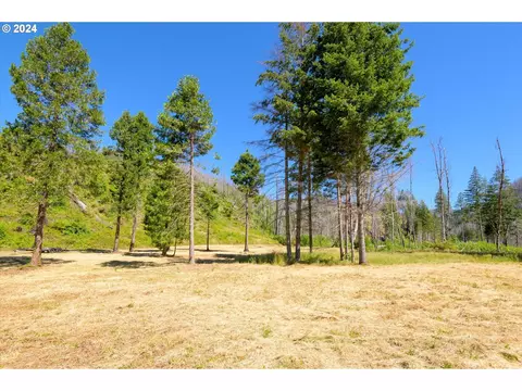 Blue River Rd, Eugene, OR 97401 photo 1