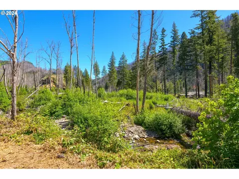 Blue River Rd, Eugene, OR 97401 photo 34