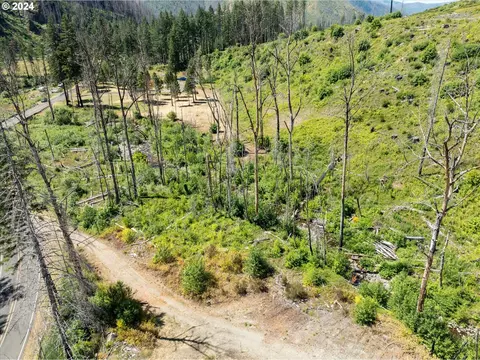 Blue River Rd, Eugene, OR 97401 photo 23