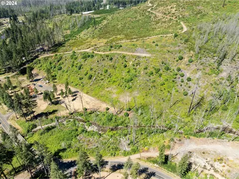 Blue River Rd, Eugene, OR 97401 photo 14