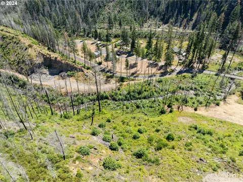 Blue River Rd, Eugene, OR 97401 photo 8