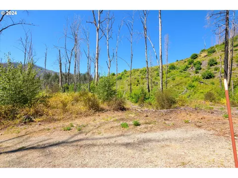 Blue River Rd, Eugene, OR 97401 photo 25