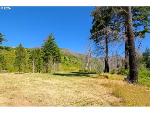 Blue River Rd, Eugene, OR 97401 photo 32