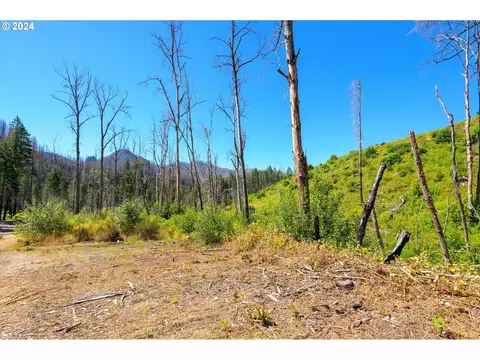 Blue River Rd, Eugene, OR 97401 photo 26
