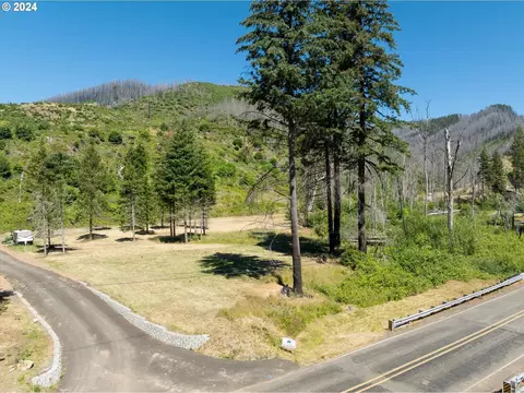 Blue River Rd, Eugene, OR 97401 photo 38