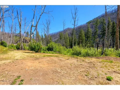 Blue River Rd, Eugene, OR 97401 photo 36