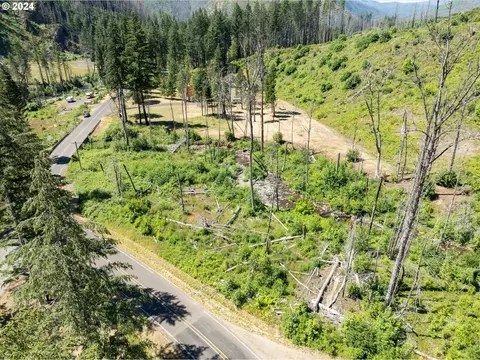 Blue River Rd, Eugene, OR 97401 photo 22