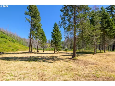 Blue River Rd, Eugene, OR 97401 photo 4