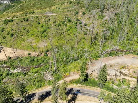 Blue River Rd, Eugene, OR 97401 photo 30