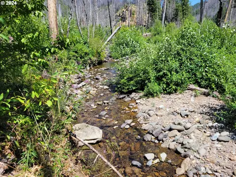 Blue River Rd, Eugene, OR 97401 photo 39
