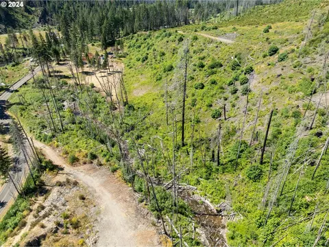 Blue River Rd, Eugene, OR 97401 photo 6