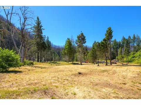 Blue River Rd, Eugene, OR 97401 photo 35