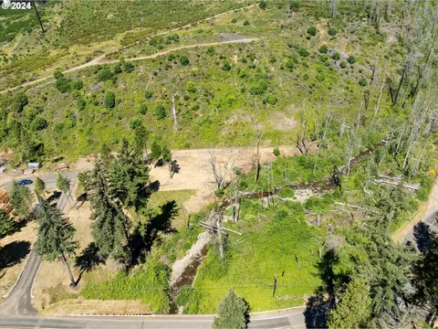 Blue River Rd, Eugene, OR 97401 photo 28