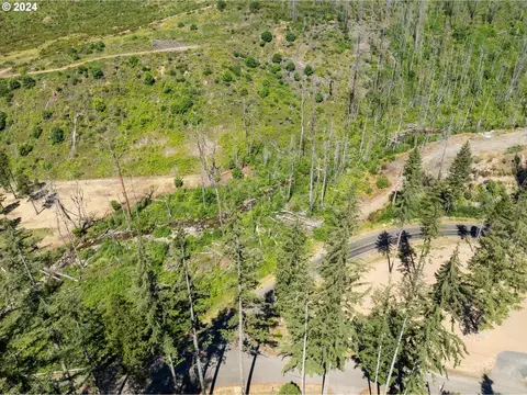 Blue River Rd, Eugene, OR 97401 photo 29