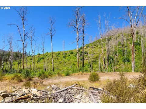 Blue River Rd, Eugene, OR 97401 photo 27