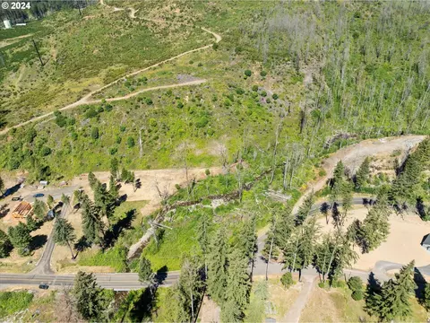 Blue River Rd, Eugene, OR 97401 photo 13