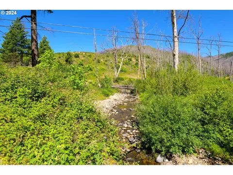 Blue River Rd, Eugene, OR 97401 photo 37
