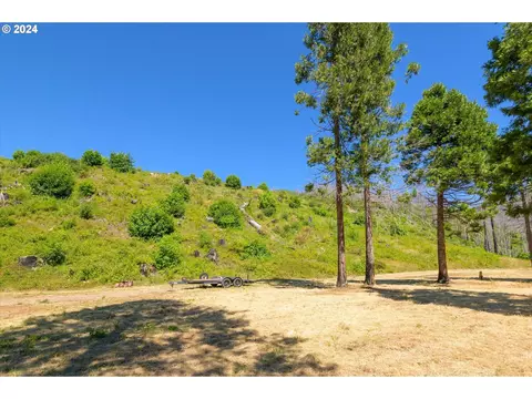 Blue River Rd, Eugene, OR 97401 photo 33
