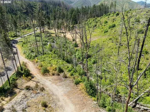 Blue River Rd, Eugene, OR 97401 photo 24