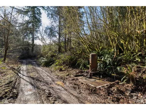 71909 Apiary Rd, Rainier, OR 97048 photo 3