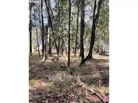 3872 Monroe St, Eugene, OR 97405 photo 6