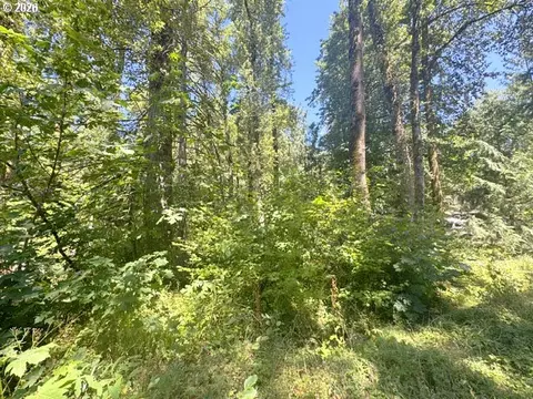 65425 E Timberline Dr, Rhododendron, OR 97049 photo 6