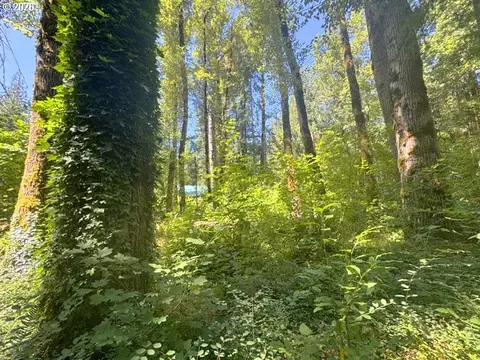 65425 E Timberline Dr, Rhododendron, OR 97049 photo 3