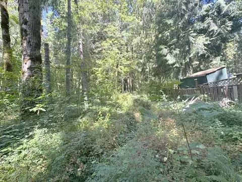 65425 E Timberline Dr, Rhododendron, OR 97049 photo 5