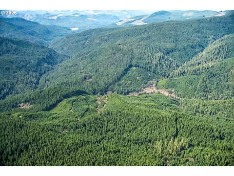 Usfs 71 Rd, Culp Creek, OR 97434