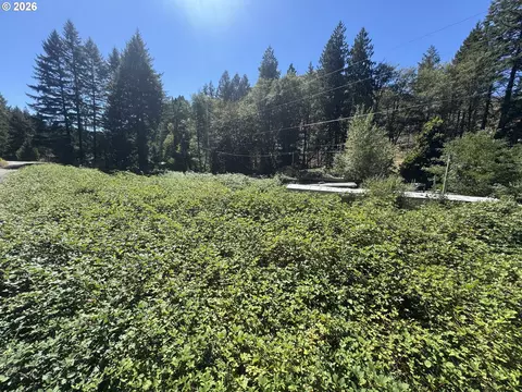 718 Lees Creek Rd, Myrtle Creek, OR 97457