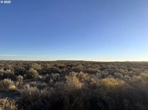 fossil lake road, Christmas Valley, OR 97641