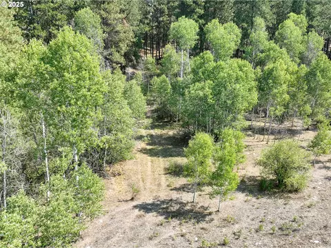 0 Wheeler Ln, Elgin, OR 97827 photo 7