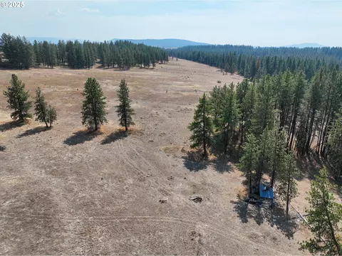 0 Wheeler Ln, Elgin, OR 97827 photo 11