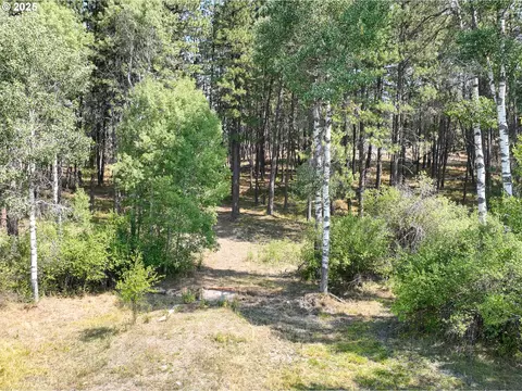 0 Wheeler Ln, Elgin, OR 97827 photo 15