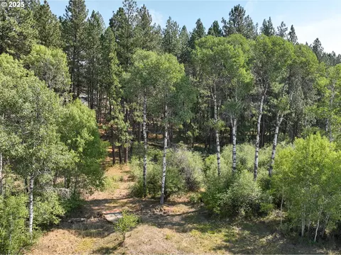 0 Wheeler Ln, Elgin, OR 97827 photo 9