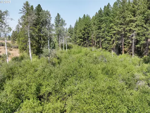 0 Wheeler Ln, Elgin, OR 97827 photo 14