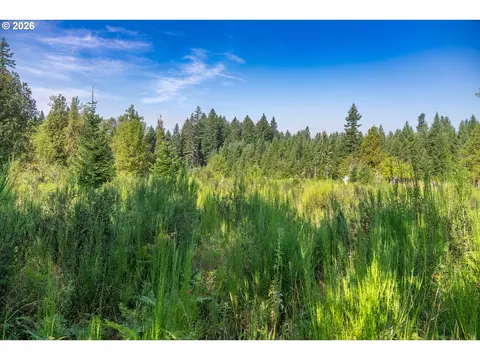 hawk meadows rd, Carson, WA 98610 photo 16