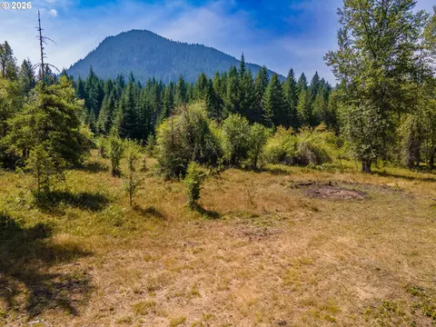 hawk meadows rd, Carson, WA 98610 photo 37
