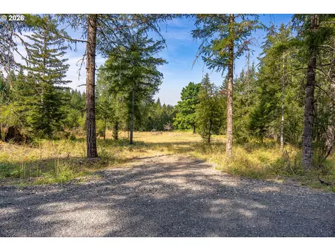 hawk meadows rd, Carson, WA 98610 photo 4
