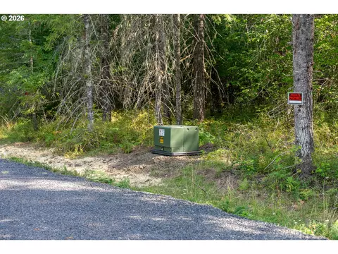 hawk meadows rd, Carson, WA 98610 photo 7