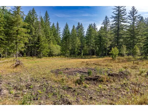 hawk meadows rd, Carson, WA 98610 photo 14