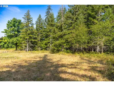 hawk meadows rd, Carson, WA 98610 photo 9