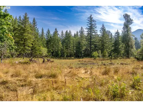 hawk meadows rd, Carson, WA 98610 photo 13