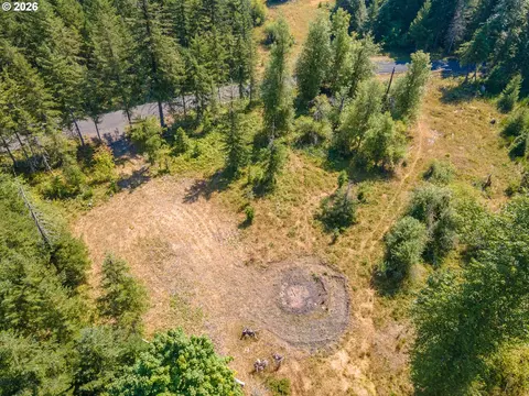 hawk meadows rd, Carson, WA 98610 photo 31