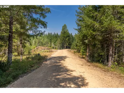 hawk meadows rd, Carson, WA 98610 photo 43