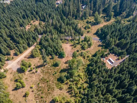 hawk meadows rd, Carson, WA 98610 photo 28