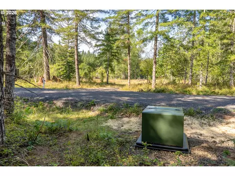hawk meadows rd, Carson, WA 98610 photo 22