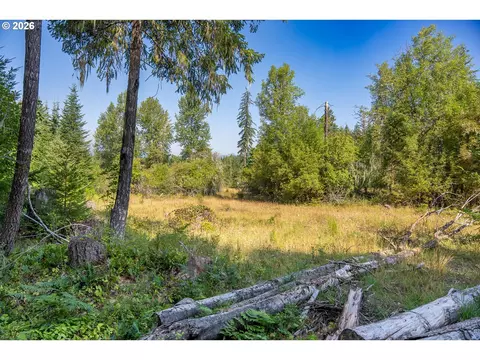 hawk meadows rd, Carson, WA 98610 photo 3